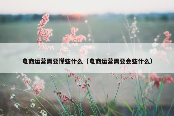 电商运营需要懂些什么（电商运营需要会些什么）