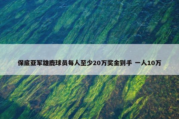 保底亚军雄鹿球员每人至少20万奖金到手 一人10万