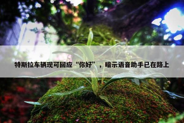 特斯拉车辆现可回应“你好”，暗示语音助手已在路上