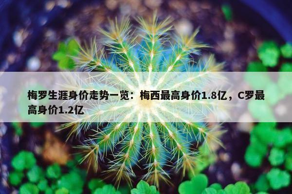 梅罗生涯身价走势一览：梅西最高身价1.8亿，C罗最高身价1.2亿