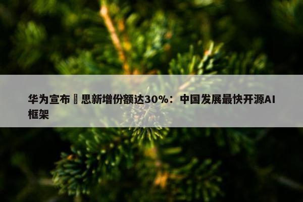 华为宣布昇思新增份额达30%：中国发展最快开源AI框架