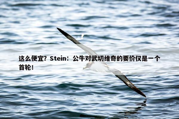 这么便宜？Stein：公牛对武切维奇的要价仅是一个首轮！