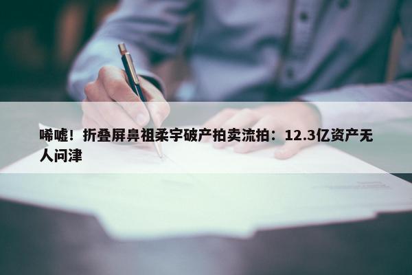 唏嘘！折叠屏鼻祖柔宇破产拍卖流拍：12.3亿资产无人问津