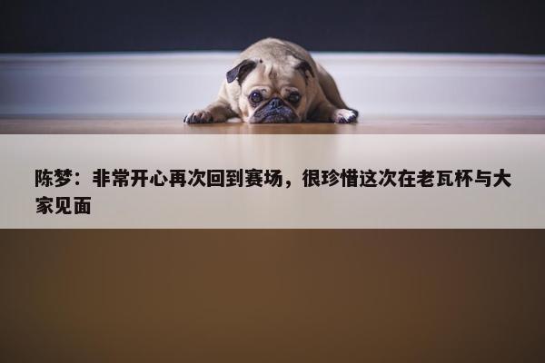 陈梦：非常开心再次回到赛场，很珍惜这次在老瓦杯与大家见面