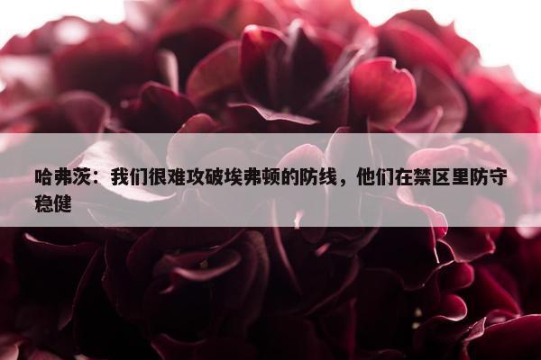 哈弗茨：我们很难攻破埃弗顿的防线，他们在禁区里防守稳健