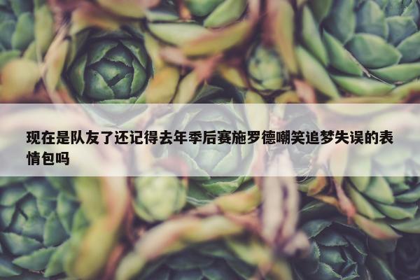 现在是队友了还记得去年季后赛施罗德嘲笑追梦失误的表情包吗