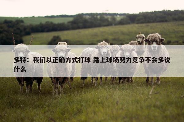 多特：我们以正确方式打球 踏上球场努力竞争不会多说什么