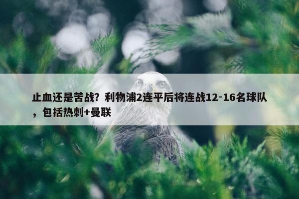 止血还是苦战？利物浦2连平后将连战12-16名球队，包括热刺+曼联