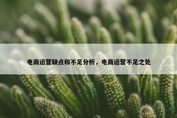 电商运营缺点和不足分析，电商运营不足之处