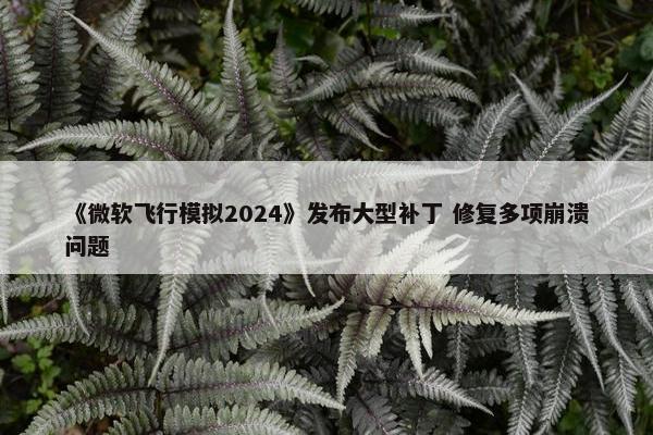 《微软飞行模拟2024》发布大型补丁 修复多项崩溃问题