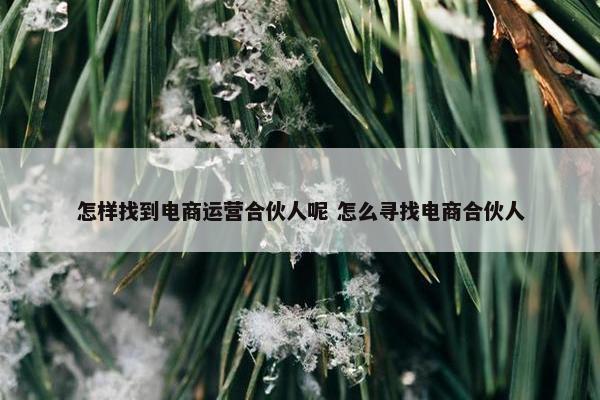 怎样找到电商运营合伙人呢 怎么寻找电商合伙人