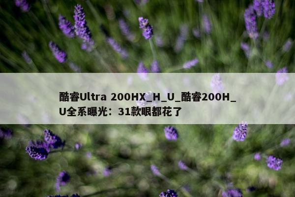 酷睿Ultra 200HX_H_U_酷睿200H_U全系曝光：31款眼都花了