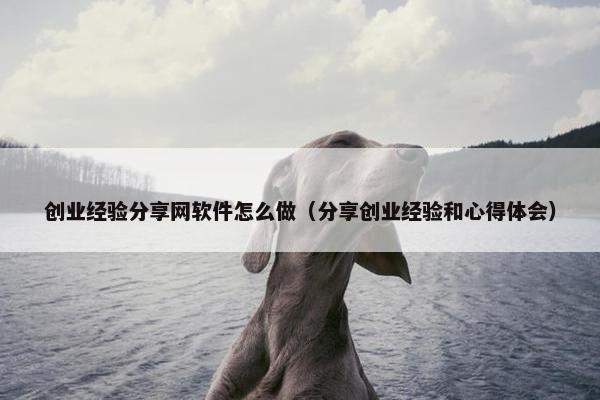 创业经验分享网软件怎么做（分享创业经验和心得体会）