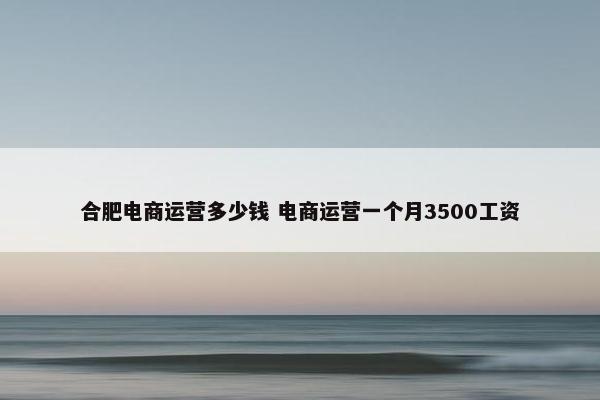 合肥电商运营多少钱 电商运营一个月3500工资