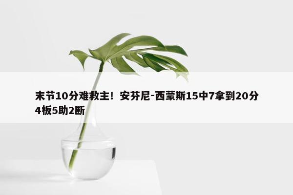 末节10分难救主！安芬尼-西蒙斯15中7拿到20分4板5助2断