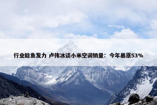 行业鲶鱼发力 卢伟冰谈小米空调销量：今年暴涨53%