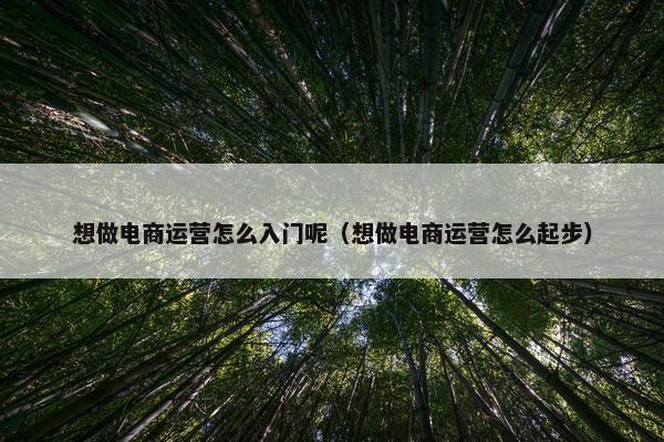 想做电商运营怎么入门呢（想做电商运营怎么起步）