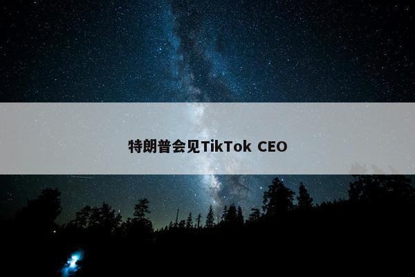 特朗普会见TikTok CEO