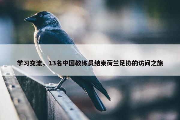 学习交流，13名中国教练员结束荷兰足协的访问之旅