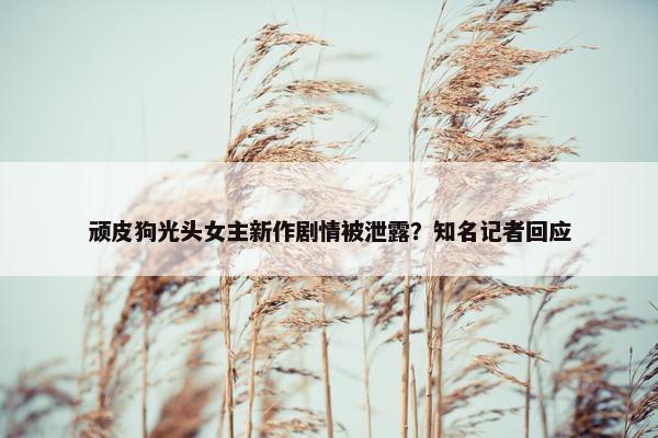 顽皮狗光头女主新作剧情被泄露？知名记者回应