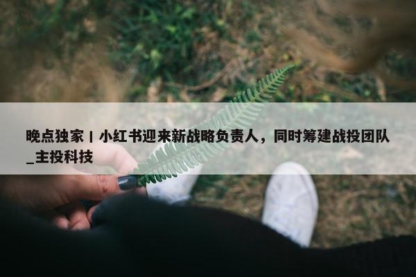 晚点独家丨小红书迎来新战略负责人，同时筹建战投团队_主投科技