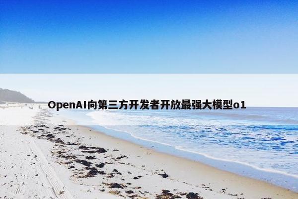 OpenAI向第三方开发者开放最强大模型o1 