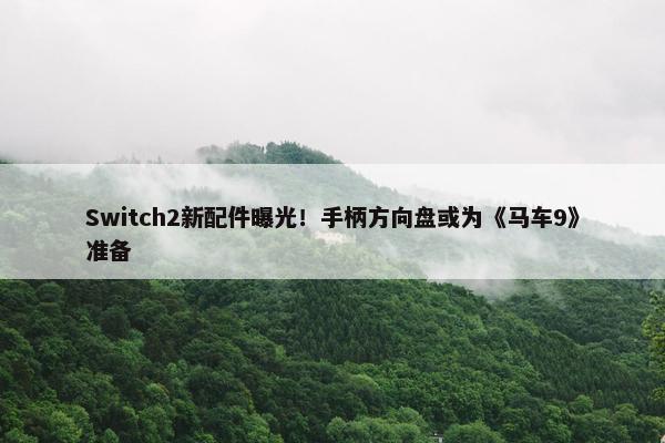 Switch2新配件曝光！手柄方向盘或为《马车9》准备