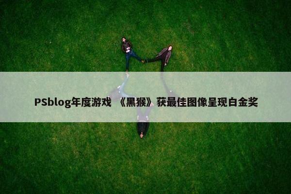 PSblog年度游戏 《黑猴》获最佳图像呈现白金奖