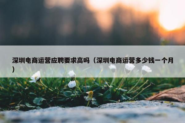 深圳电商运营应聘要求高吗（深圳电商运营多少钱一个月）