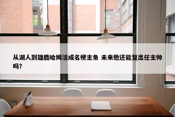 从湖人到雄鹿哈姆活成名梗主角 未来他还能复出任主帅吗？