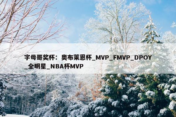 字母哥奖杯：奥布莱恩杯_MVP_FMVP_DPOY_全明星_NBA杯MVP