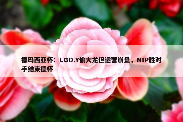 德玛西亚杯：LGD.Y偷大龙但运营崩盘，NIP胜对手结束德杯