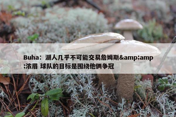 Buha：湖人几乎不可能交易詹姆斯&amp;浓眉 球队的目标是围绕他俩争冠