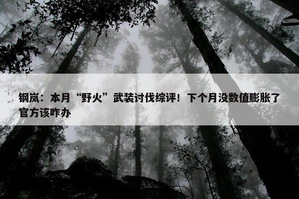 钢岚：本月“野火”武装讨伐综评！下个月没数值膨胀了官方该咋办