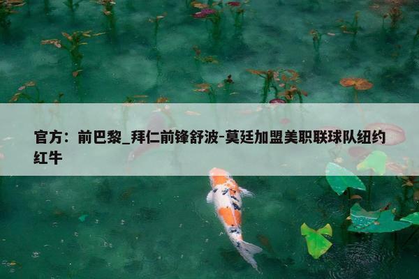 官方：前巴黎_拜仁前锋舒波-莫廷加盟美职联球队纽约红牛