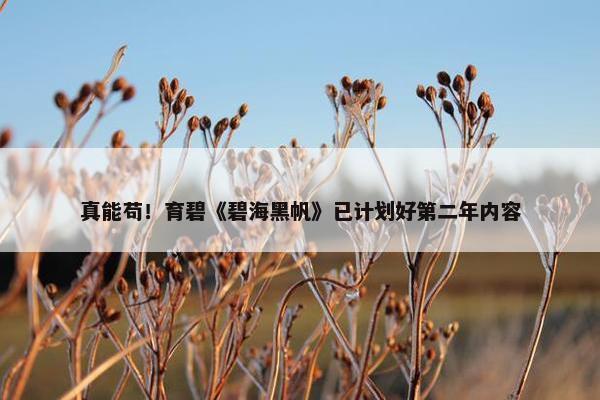 真能苟！育碧《碧海黑帆》已计划好第二年内容