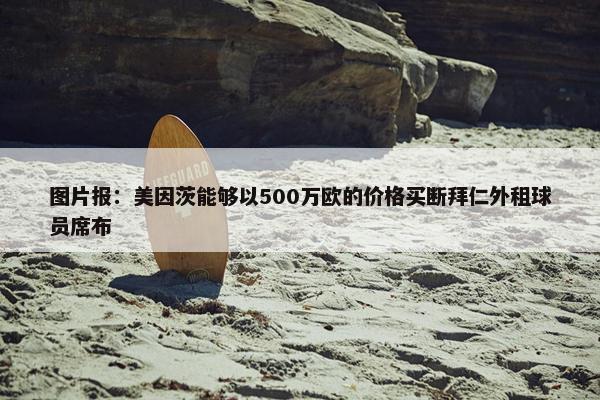 图片报：美因茨能够以500万欧的价格买断拜仁外租球员席布