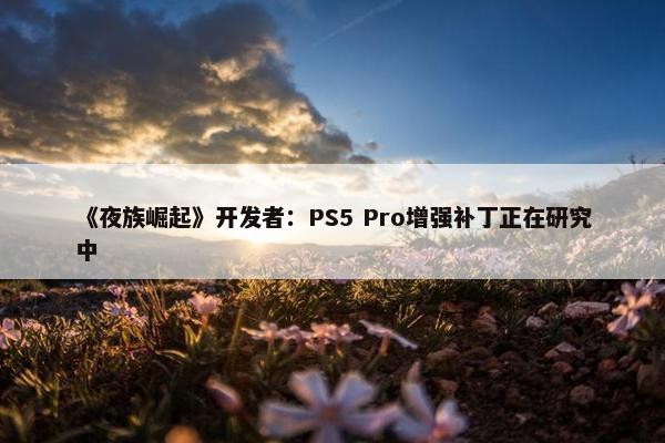 《夜族崛起》开发者：PS5 Pro增强补丁正在研究中