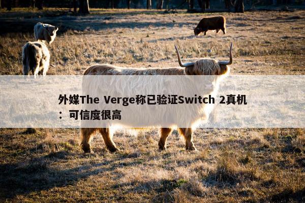 外媒The Verge称已验证Switch 2真机：可信度很高