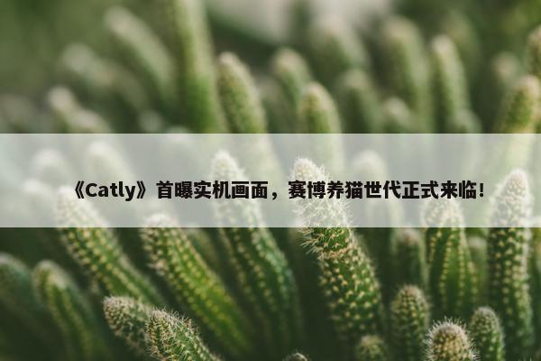 《Catly》首曝实机画面，赛博养猫世代正式来临！