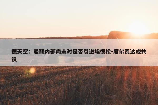 德天空：曼联内部尚未对是否引进埃德松-席尔瓦达成共识