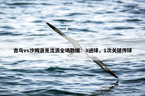 吉乌vs沙姆洛克流浪全场数据：3进球，1次关键传球