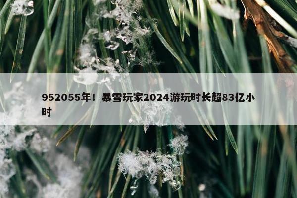 952055年！暴雪玩家2024游玩时长超83亿小时