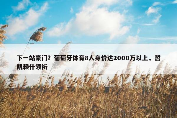 下一站豪门？葡萄牙体育8人身价达2000万以上，哲凯赖什领衔