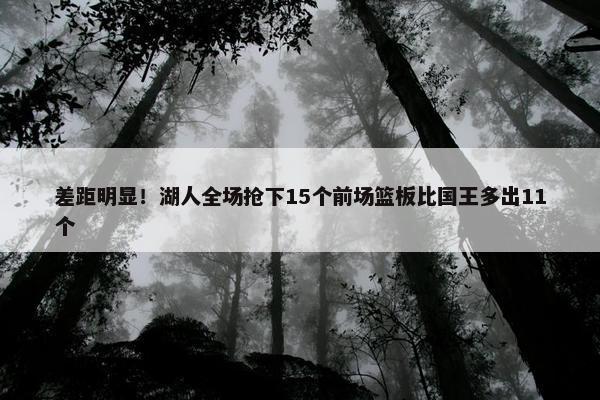 差距明显！湖人全场抢下15个前场篮板比国王多出11个