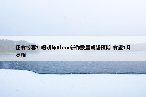 还有惊喜？曝明年Xbox新作数量或超预期 有望1月亮相