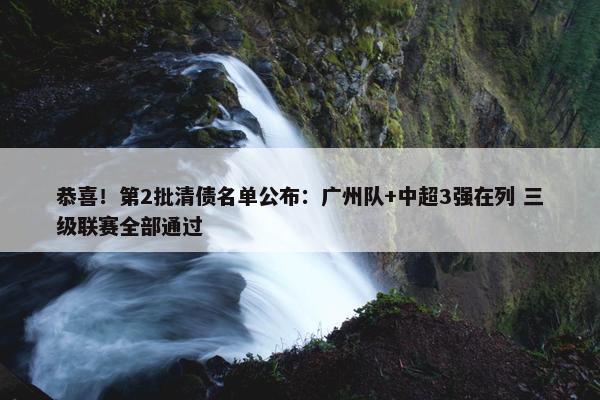 恭喜！第2批清债名单公布：广州队+中超3强在列 三级联赛全部通过