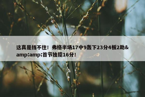 这真是挡不住！弗格半场17中9轰下23分4板2助&amp;首节独揽16分！