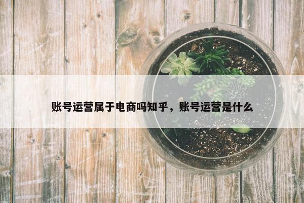 账号运营属于电商吗知乎，账号运营是什么