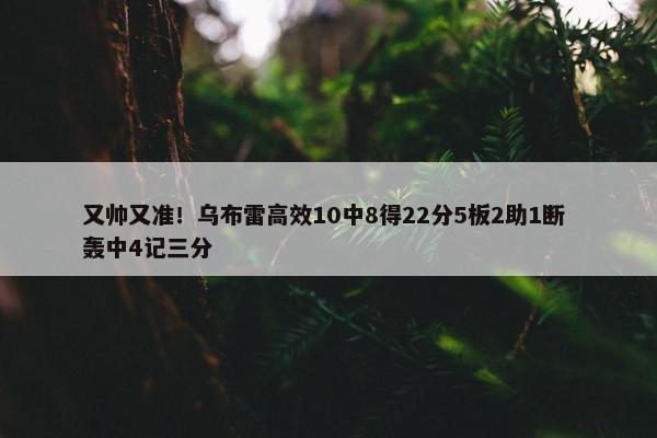 又帅又准！乌布雷高效10中8得22分5板2助1断 轰中4记三分